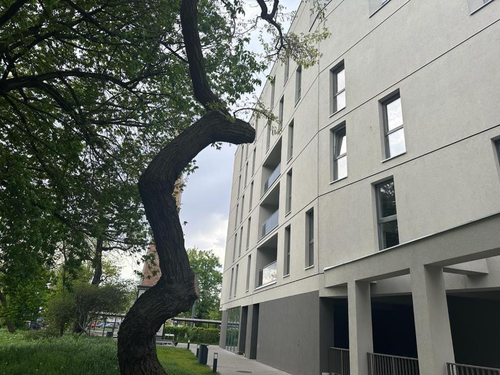 Apartament Centrum II 비드고슈치 외부 사진